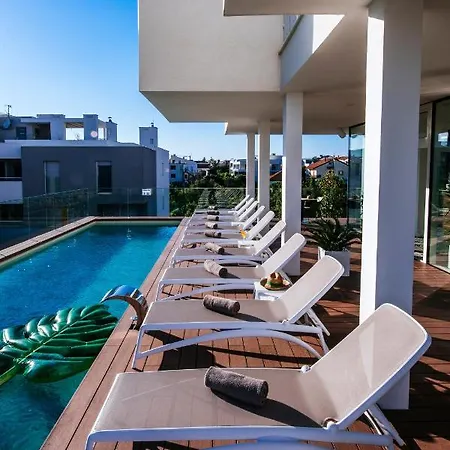 Dedaj - Auri * Ζαντάρ