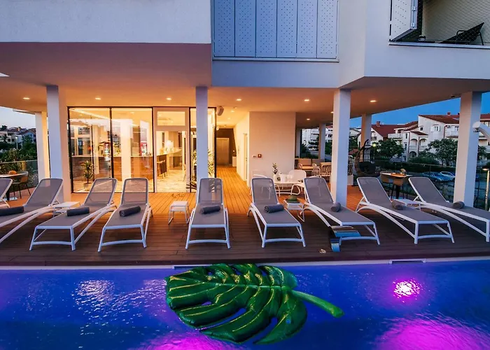 Dedaj - Auri * Zára