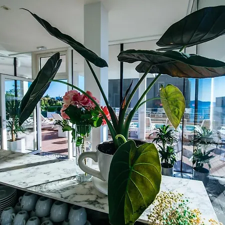 Dedaj - Auri Apartment *