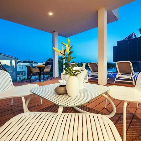 Dedaj - Auri * Zadar