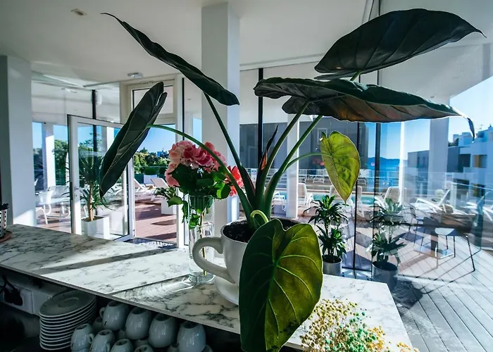 Dedaj - Auri Апартаменты *